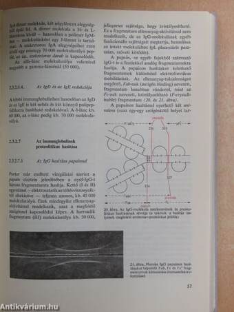 Immunbiológia