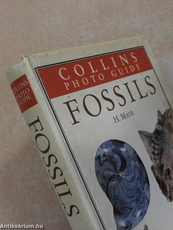 Collins Photo Guide to Fossils