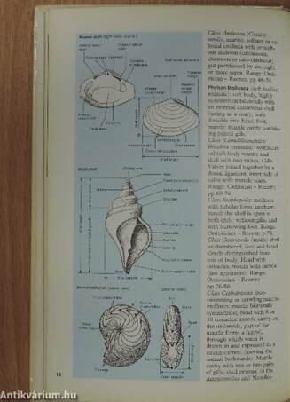 Collins Photo Guide to Fossils