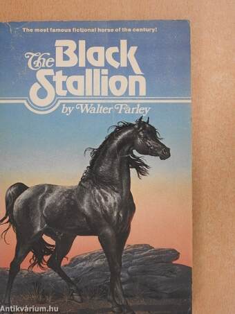 The Black Stallion