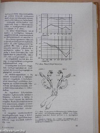 Határterületi differenciál-diagnosztika