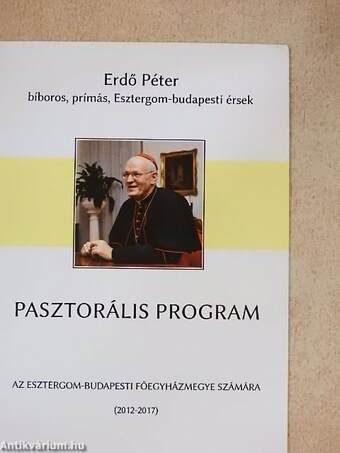 Pasztorális program