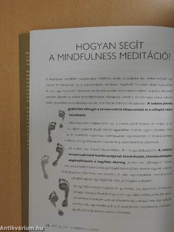 Tudatos jelenlét - Mindfulness a mindennapokban