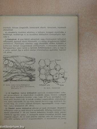 Biológiai laboratóriumi gyakorlatok II.