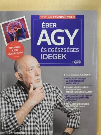 Éber agy és egészséges idegek