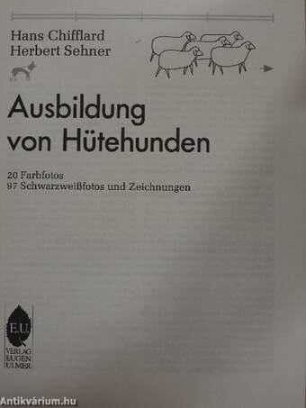 Ausbildung von Hütehunden