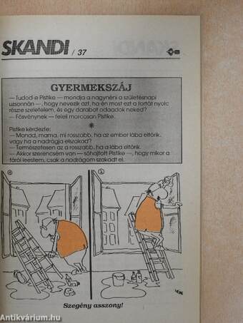 Skandi Rejtvényújság Évkönyve 1993