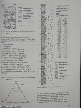 Magyarország geológiai képződményeinek rétegtana