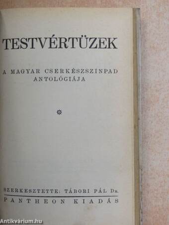 Testvértüzek