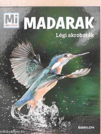 Madarak