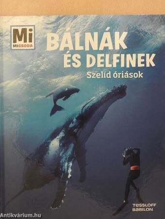 Bálnák és delfinek