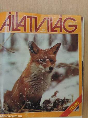 Állatvilág 1988. január-június/Új Állatvilág 1988. ősz-tél, 1989. tavasz-ősz