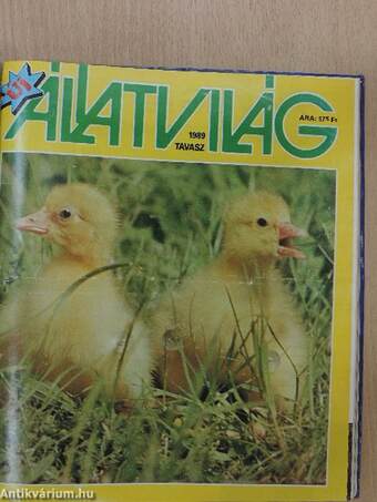 Állatvilág 1988. január-június/Új Állatvilág 1988. ősz-tél, 1989. tavasz-ősz