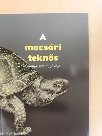 A mocsári teknős