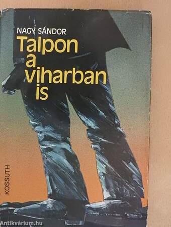 Talpon a viharban is