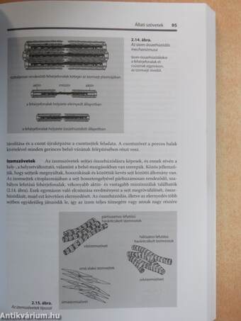 Biológia