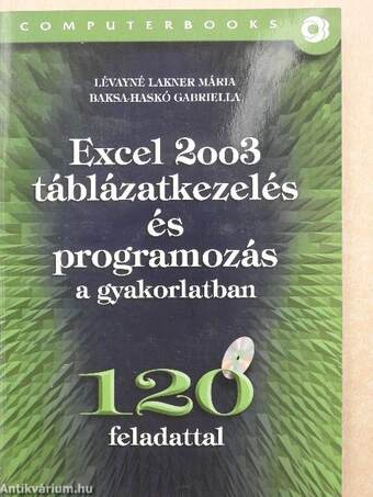 Excel 2003 táblázatkezelés és programozás a gyakorlatban - CD-vel