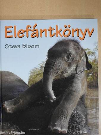 Elefántkönyv