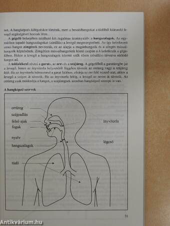 Érettségi témakörök, tételek - Magyar nyelv