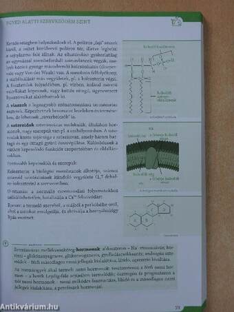 Érettségi témakörök vázlata biológiából - Közép- és emelt szinten