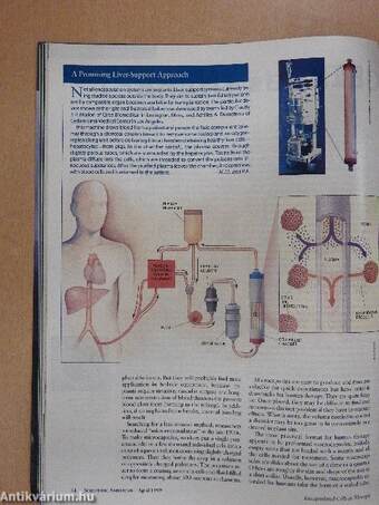 Scientific American April 1999