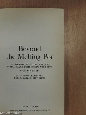 Beyond the Melting Pot