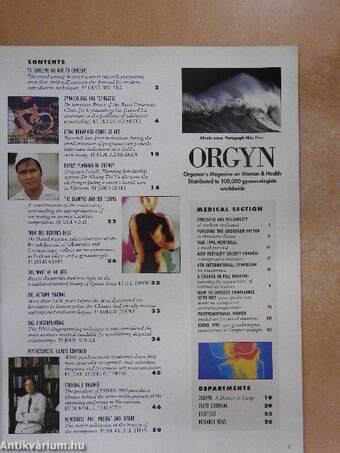 Orgyn No. 1, 1993