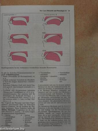 dtv-Atlas zur deutschen Sprache