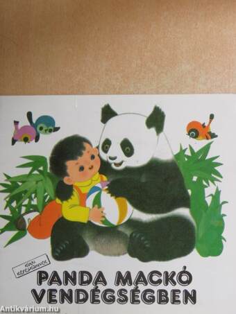 Panda mackó vendégségben