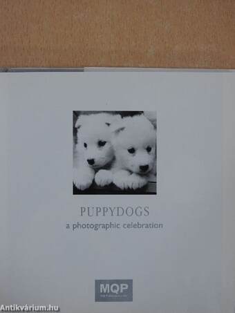 Puppydogs