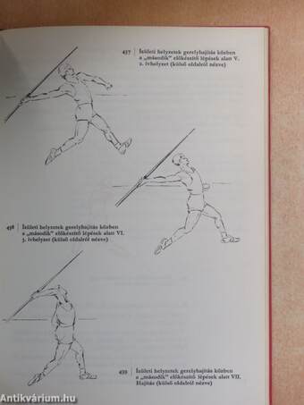 A sportmozgások anatómiai alapjai I.