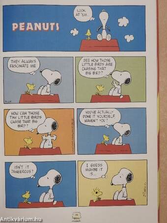 Snoopy Annual