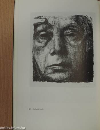 Käthe Kollwitz