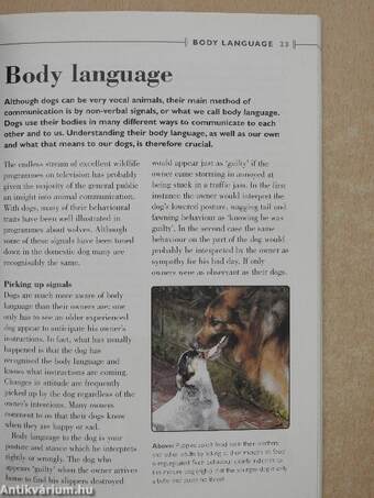 Collins Dog Training Handbook