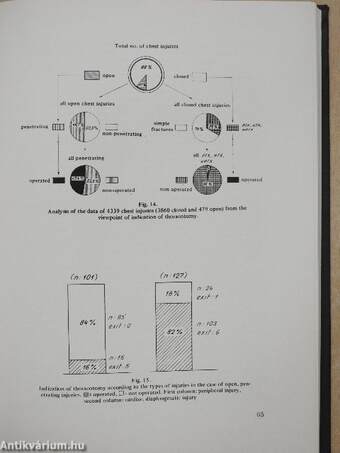 Twenty Years of the National Institute of Traumatology