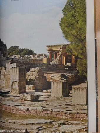 Knossos und das Museum von Herakleion