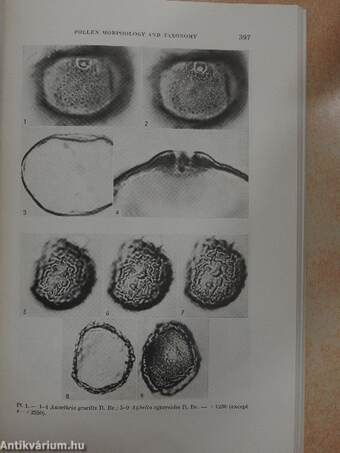 Grana Palynologica 1966 Number 3