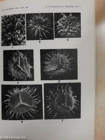 Acta Palaeontologica Polonica No. 1 1981