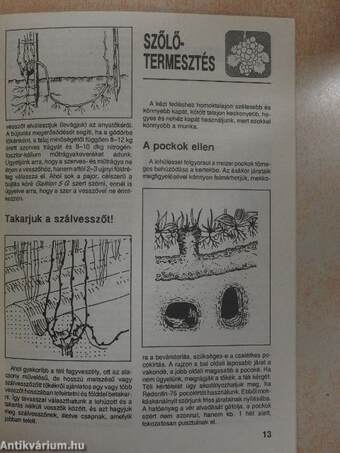 Kerti Kalendárium 1991. december