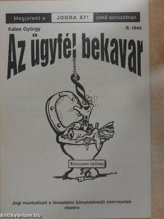 Az ügyfél bekavar II.