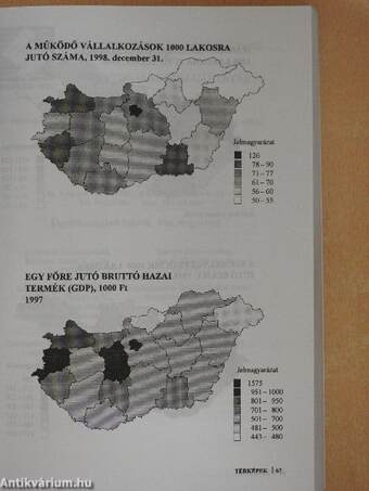 Vas megye statisztikai évkönyve 1998