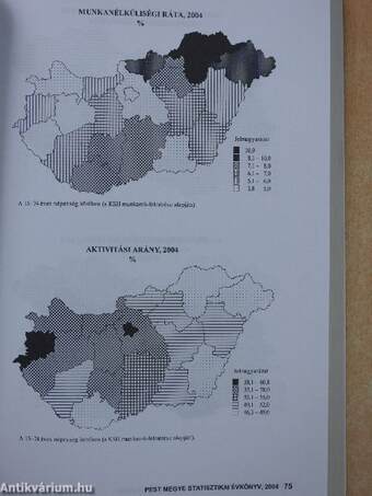 Pest megye statisztikai évkönyv, 2004