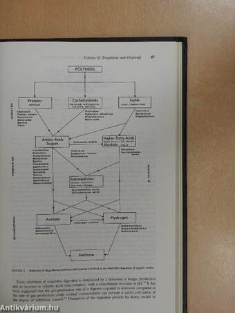 Heavy Metals in Wastewater and Sludge Treatment Processes I-II