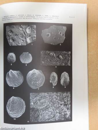 The lower triassic sequences of the dolomites (Italy) and transdanubian mid-mountains (Hungary) and their correlation