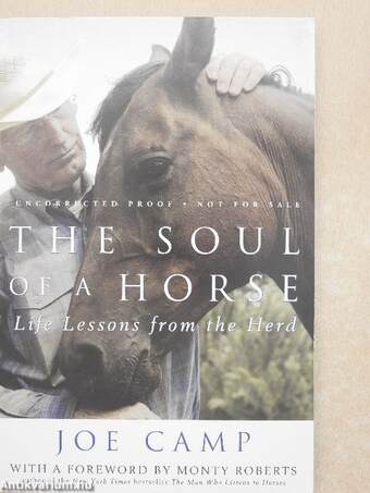 The Soul of a Horse