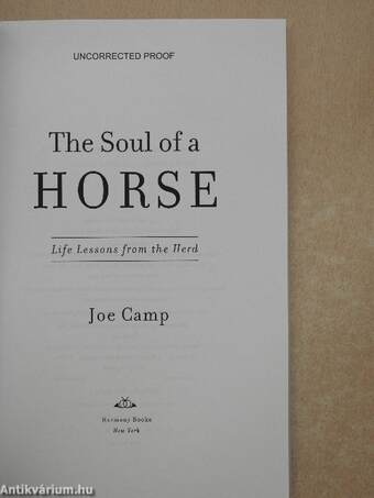 The Soul of a Horse