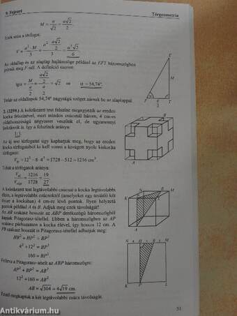 Egyedül a matek érettségin - Felkészítő feladatok, érettségi feladatsorok 1990-től 2000-ig gimnazistáknak