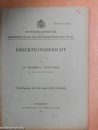 Direktionsbericht