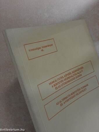 Munkáltatás, képzés, szakképzés a büntetés-végrehajtás alatt és az utógondozás során/Az alternatív büntetési formák és a pártfogó felügyelet