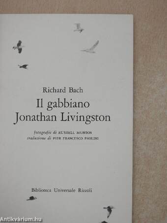 Il gabbiano Jonathan Livingston